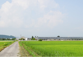 杉本バラ園の施設 フォトギャラリー