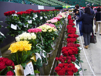 杉本バラ園の取り組み