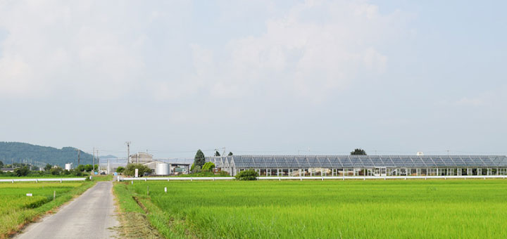 当園へのアクセス