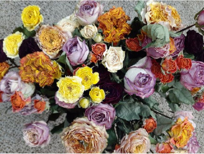 ドライフラワーアレンジメント体験