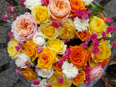 杉本バラ園の産地直送のオンラインショップ