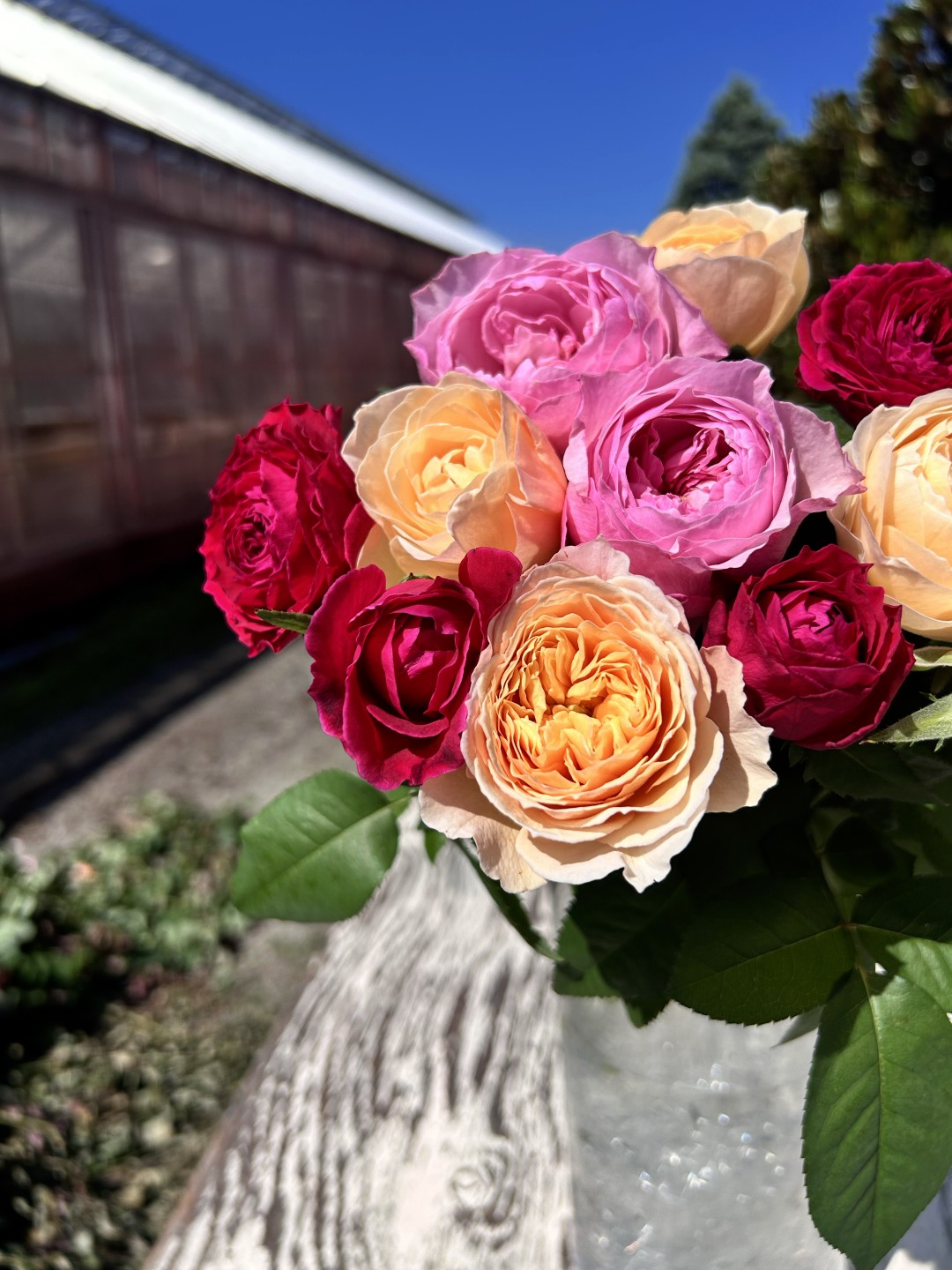 バラの香りについて